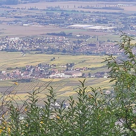 RorschwihrSur La Route Du Vin别墅 外观 照片