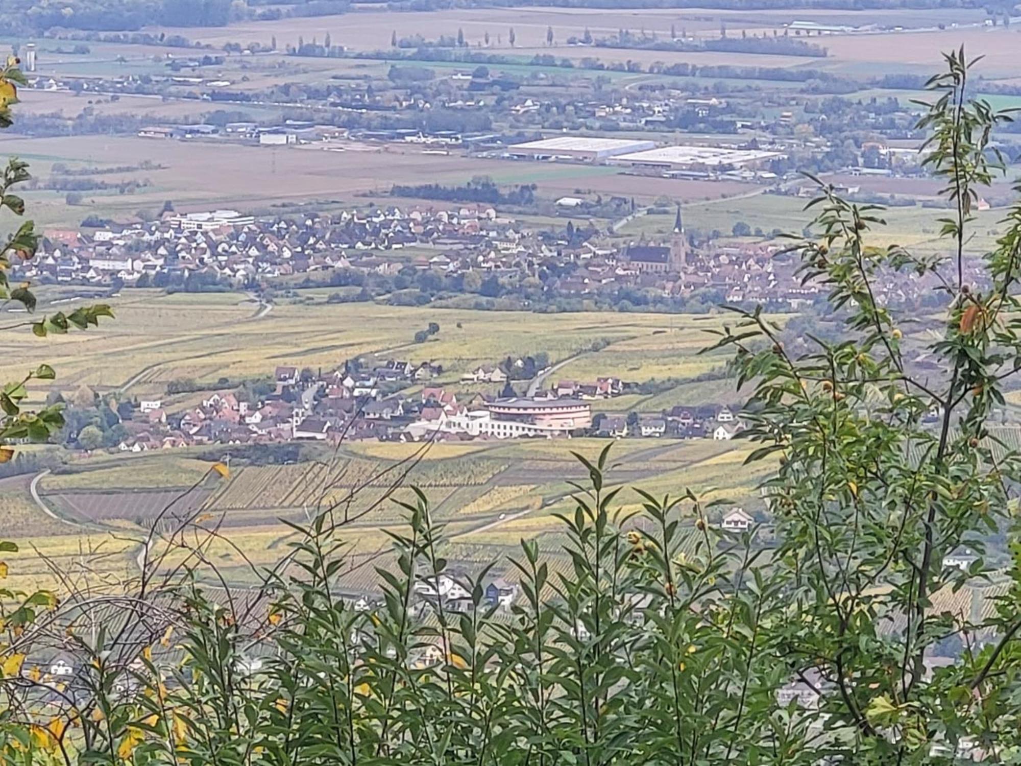 RorschwihrSur La Route Du Vin别墅 外观 照片